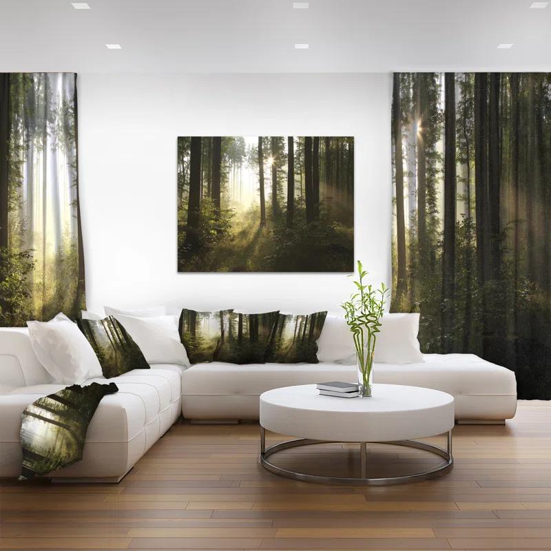 " Early Morning Sun In Misty Forest "