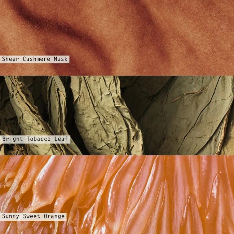 ILLUME Beautifully Done Essentials Terra Tabac Aromatic Diffuser