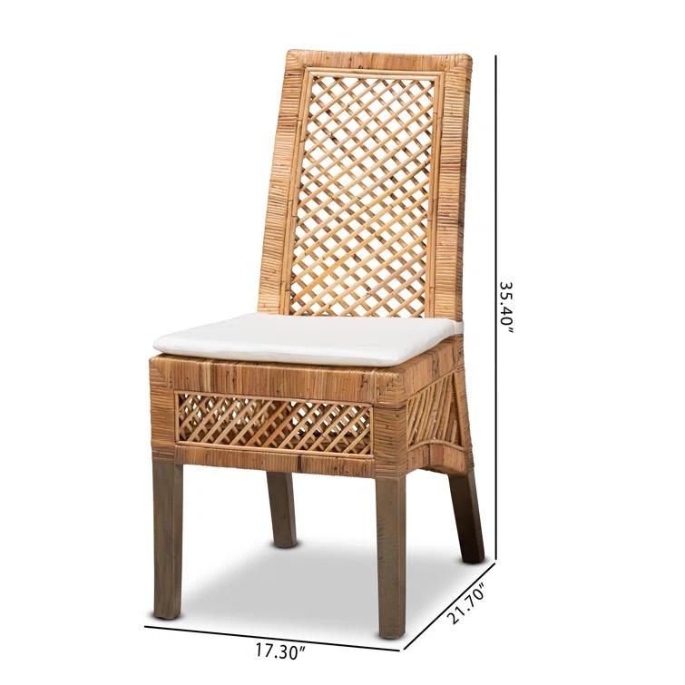 Bayou Breeze Argos Modern Bohemian Rattan Dining Chair (Set of 2)