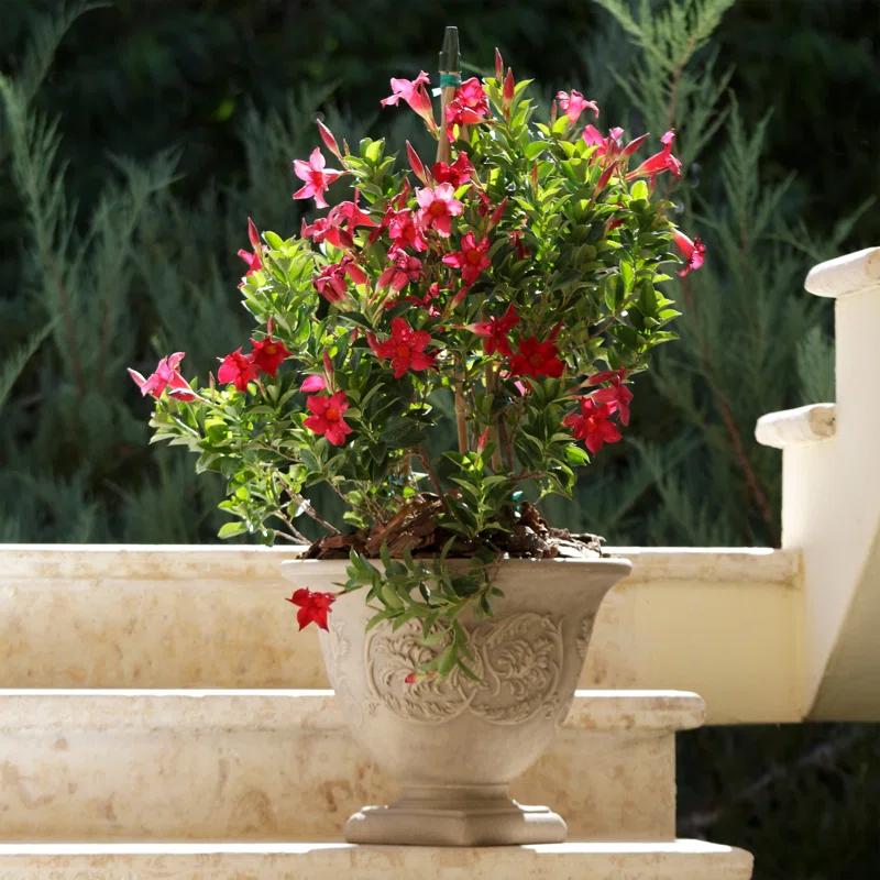 SunnyDaze Decor Darcy 16" x 16" x 13" Round Polyresin Urn Outdoor Planter Pot