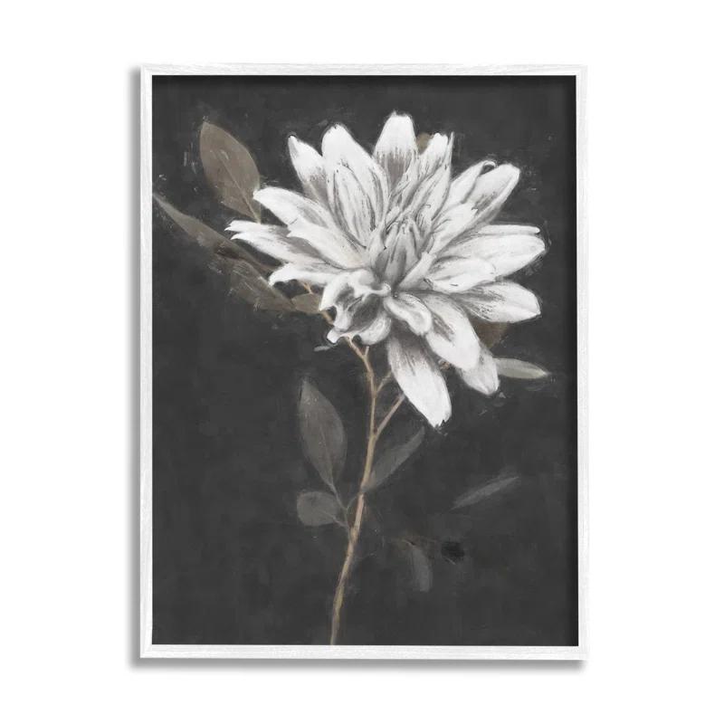 Stupell Industries " Blooming Dahlia Flower Black Background " by Nina Blue Painting Print