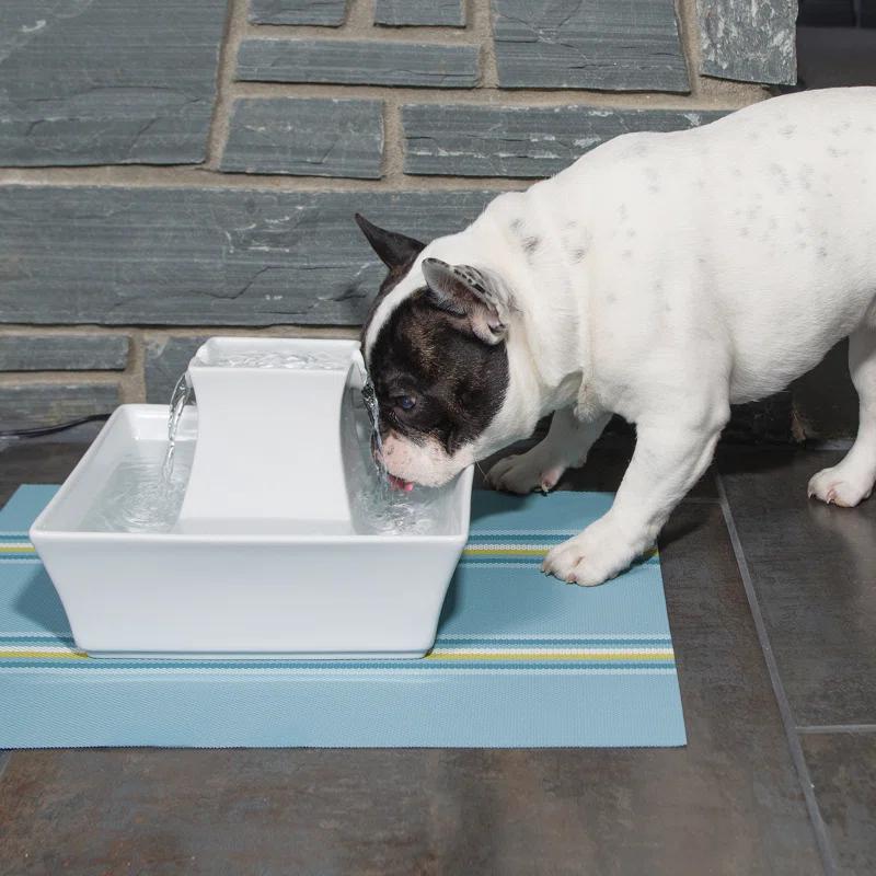 PetSafe® Pagoda Pet Fountain