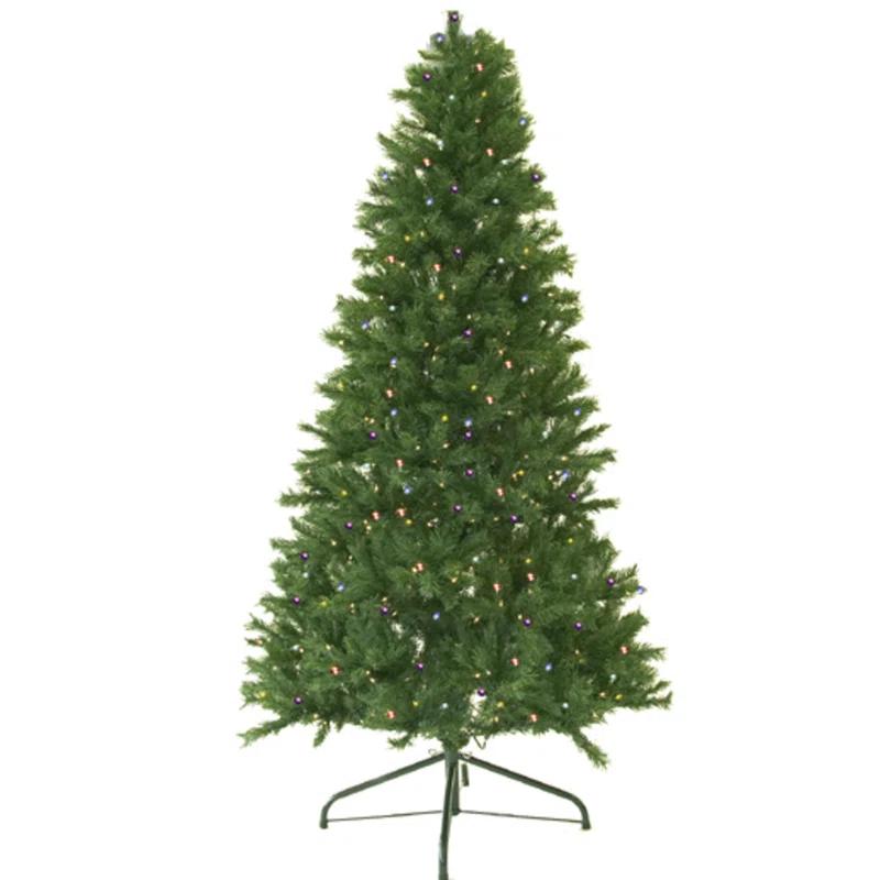 Northlight Seasonal 4' Pre-Lit Full Canadian Pine Artificial Christmas Tree - Multicolor Lights