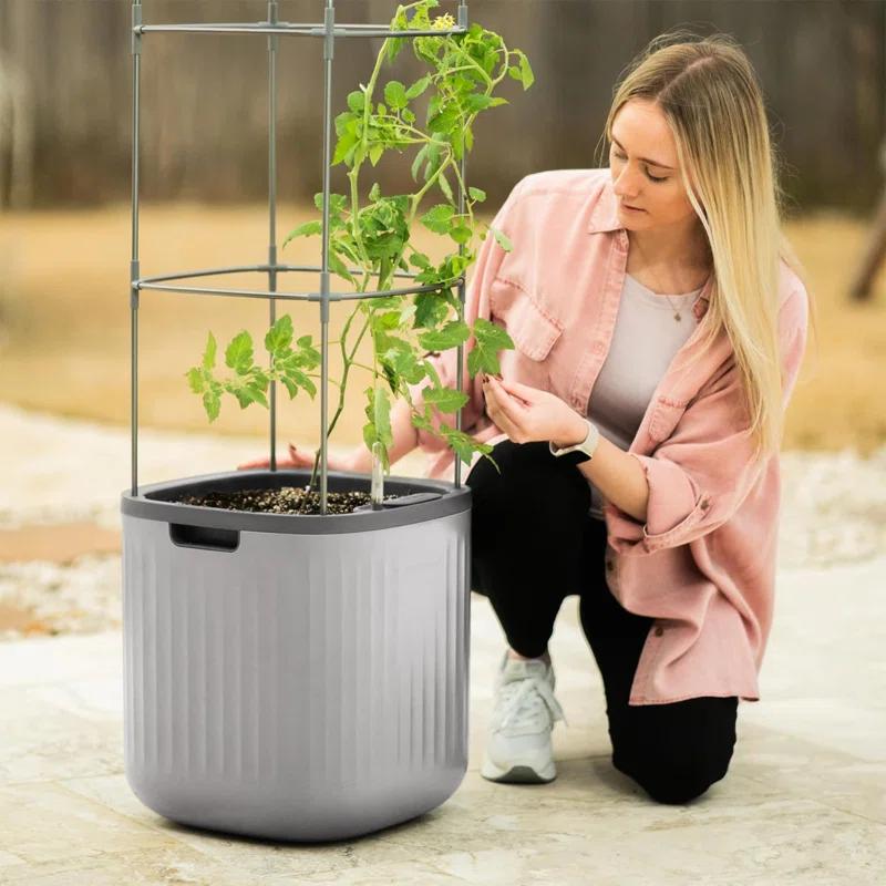 Vego Garden Mini Tomato Plastic Outdoor Pot Planter with Trellis