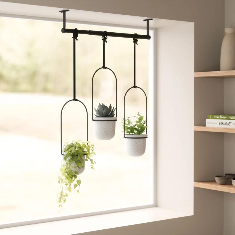 Tri-Flora Hanging Planter