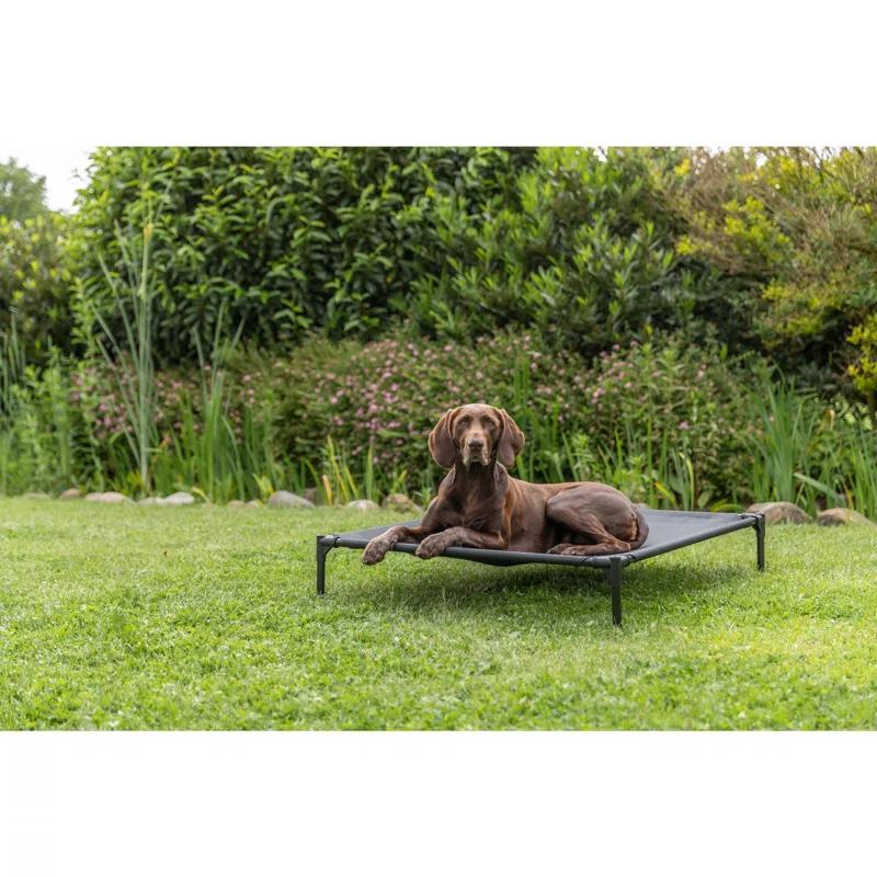 TRIXIE 2-in-1 Elevated Dog House, Portable Pet Camping Cot & Tent, Raised Bed & Dog Shade for Dogs