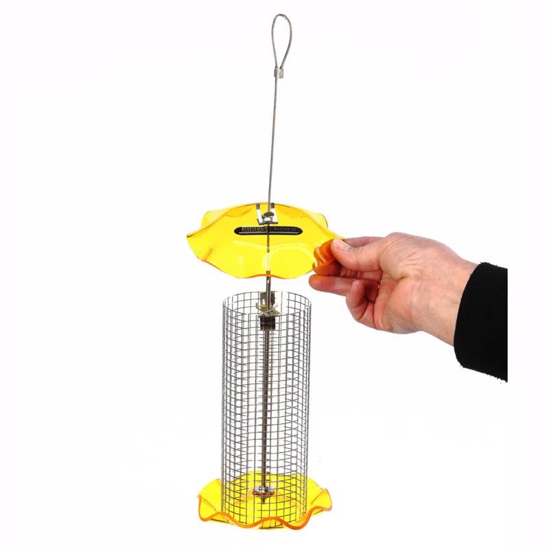 Birds Choice Small Sunflower Seed Forever Feeder with Stainless Steel Screen
