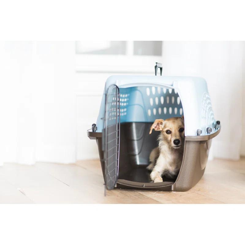 Petmate Plastic Pet Carrier with 1 Door
