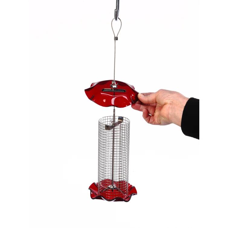 Birds Choice Small Sunflower Seed Forever Feeder with Stainless Steel Screen