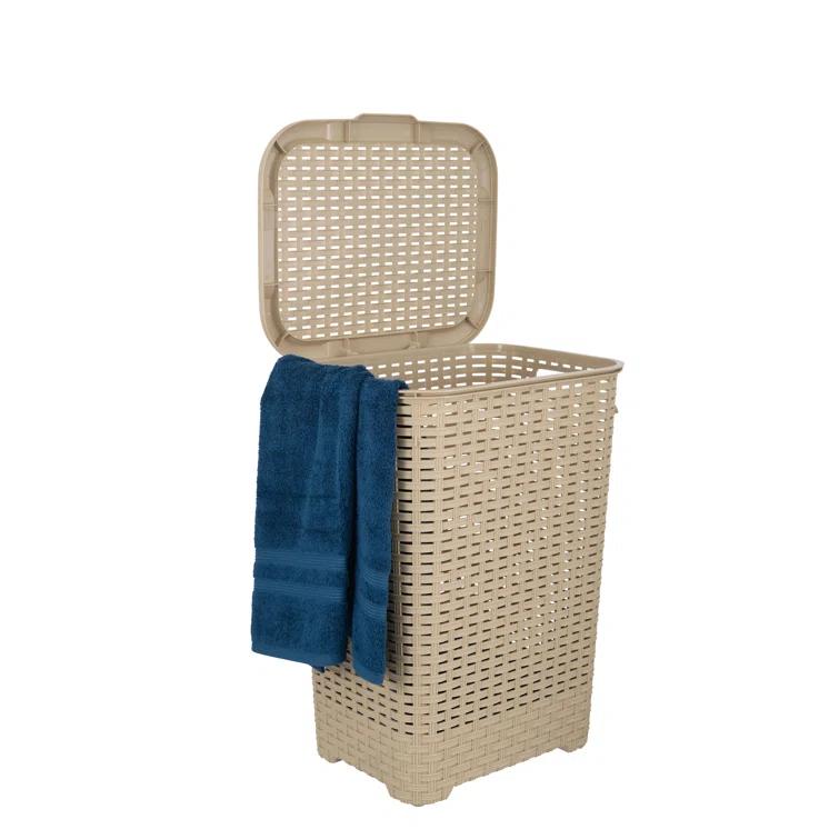 Rebrilliant Plastic Laundry Hamper with Handles