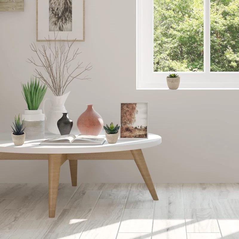 Primrue Artificial Succulent Plants Potted, Assorted Decorative Faux Succulent Potted Fake Cactus Cacti Plants With Pots, Set Of 5