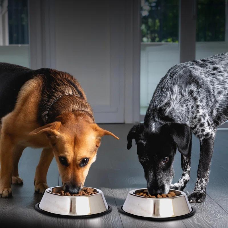 Iconic Pet Anti-Skid Pet Bowl