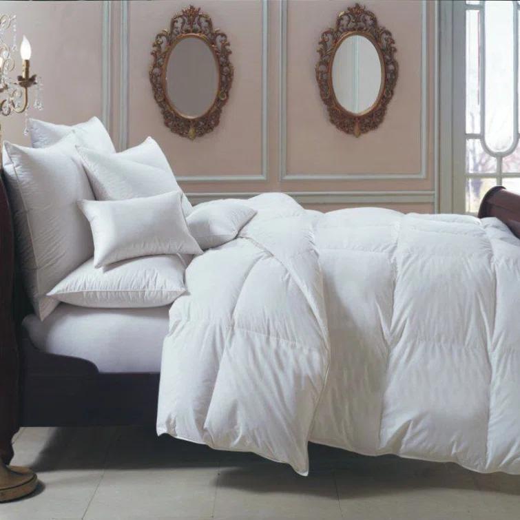 Downright Bernina Lightweight Down Comforter | Perigold