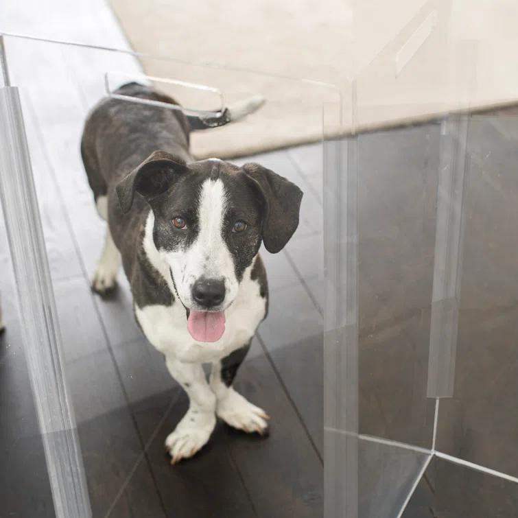 Clear Freestanding Zig Zag Pet Gate