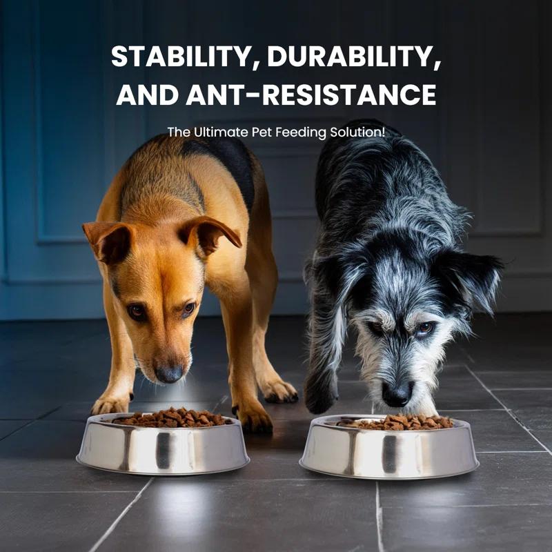 CosmoLiving by Cosmopolitan Anti Ant Pet Single Bowl