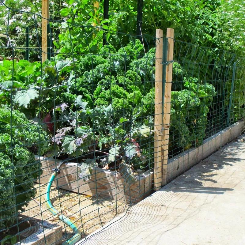 Fencer Wire Fencer Wire Vinyl Coated 16 Gauge Rabbit Guard Fence, Poultry Outdoor Fencing Barrier Wire Roll