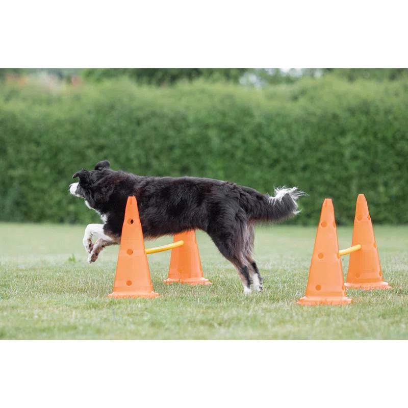TRIXIE TRIXIE Dog Agility Hurdle Cone Set, Portable Canine Agility Training Set
