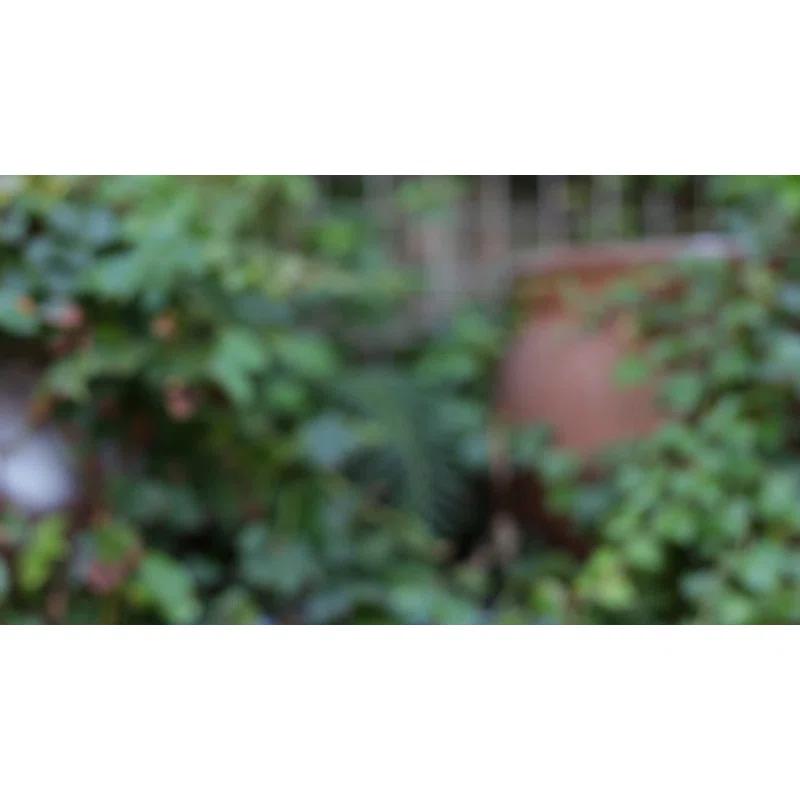 Hi-Line Gift Ltd. MOUSE DRIFTWOOD LOOK