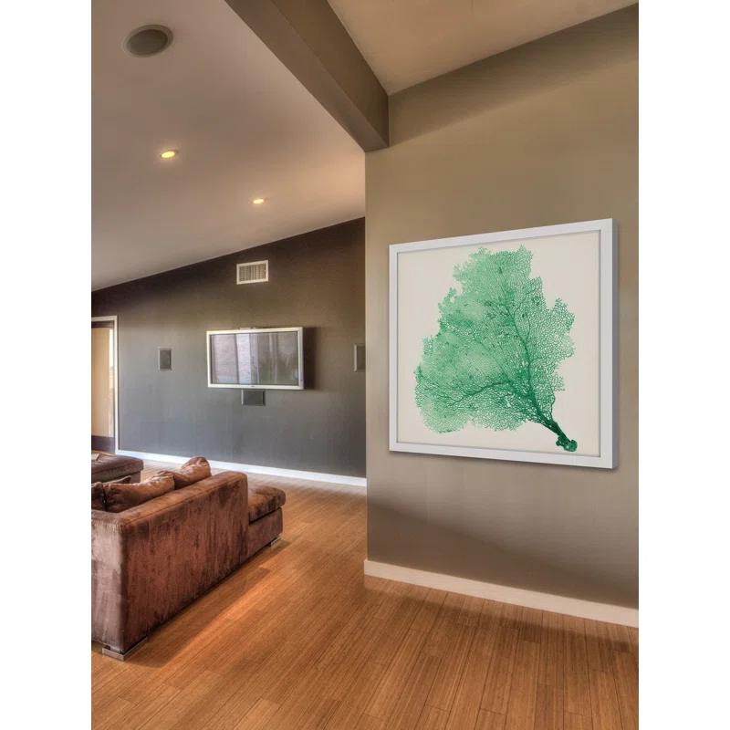 Marmont Hill "Sea Fan VII" Framed Print