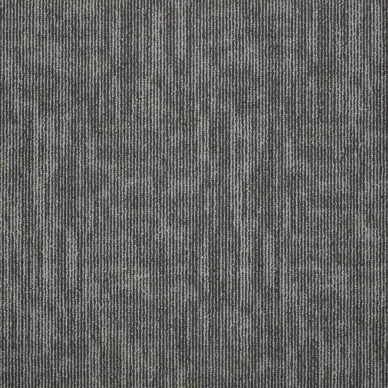 Shaw Apollo 24-in x 24-in Multi-Level Loop Adhesive Carpet Tile (48-sq ft)