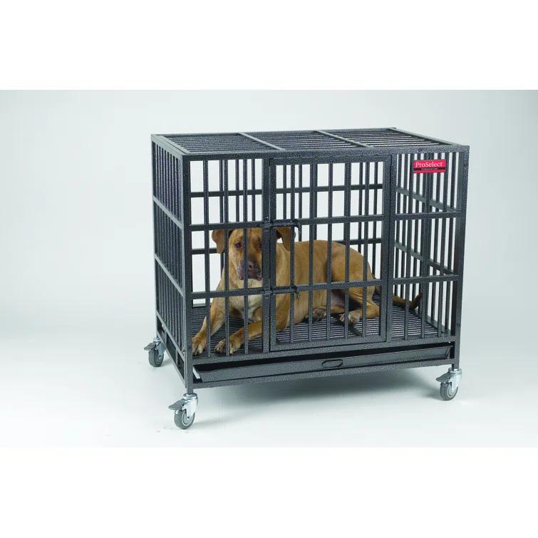 ProSelect Metal Pet Crate with 1 Door
