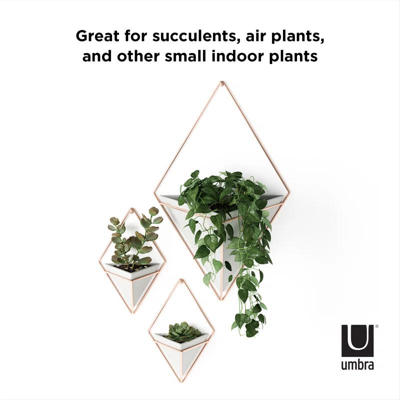 Umbra Trigg Planter Wall Decor & Reviews | Wayfair