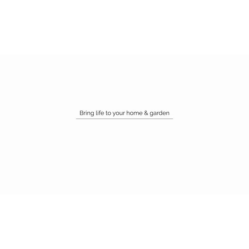 Anastassia Planter Box