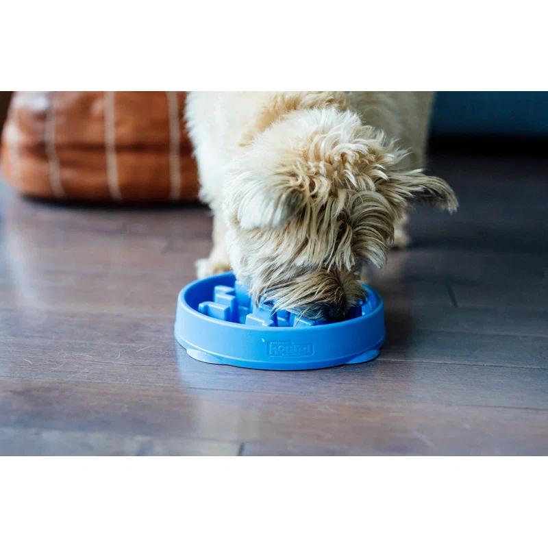 Outward Hound Outward Hound Fun Feeder Slow Bowl, Slow Feeder Dog Bowl, Blue