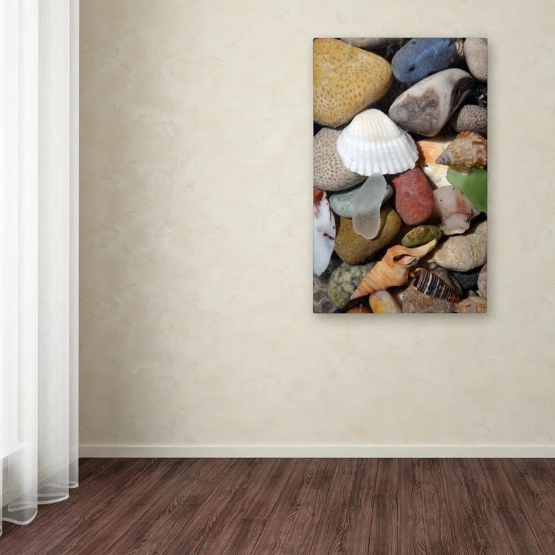 Trademark Fine Art "PetoskeyStones lV" by Michelle Calkins Photographic Print on Wrapped Canvas