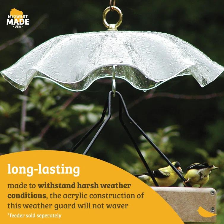 Birds Choice Birds Choice 13" Color Pop Collection Acrylic Bird Feeder Scalloped Weather guard