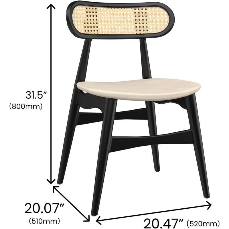 Bayou Breeze Set of 2 Black Wood Dining Chairs with Rattan Backrest (Set of 2)