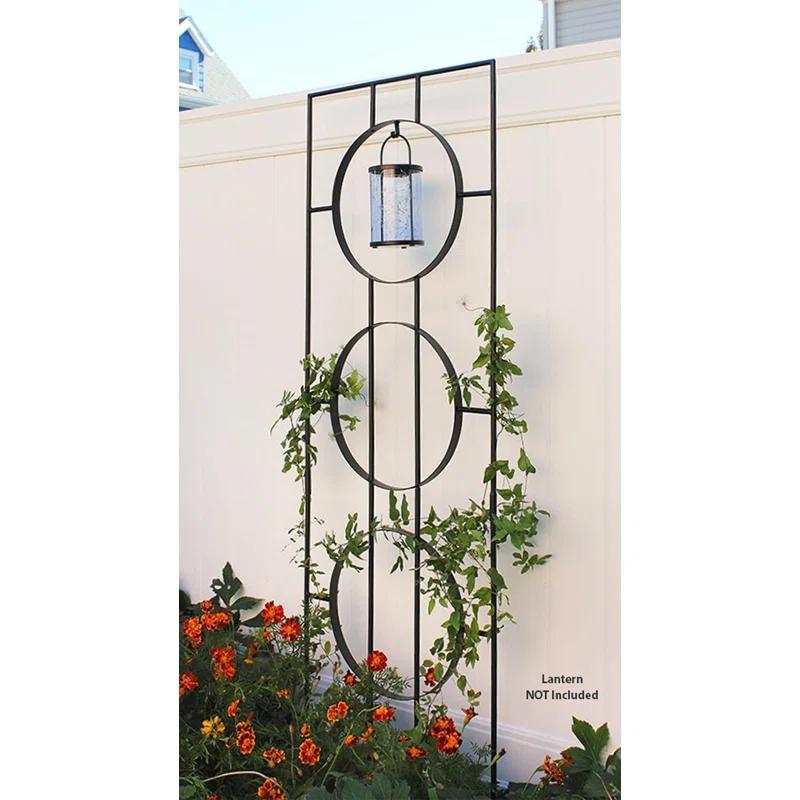 Theodora Trellis