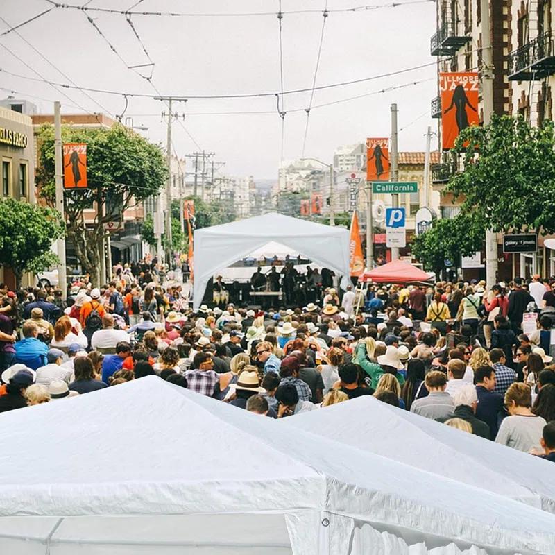 Yescom Yescom 10' X 10' Outdoor Wedding Party Tent 4 Sidewalls