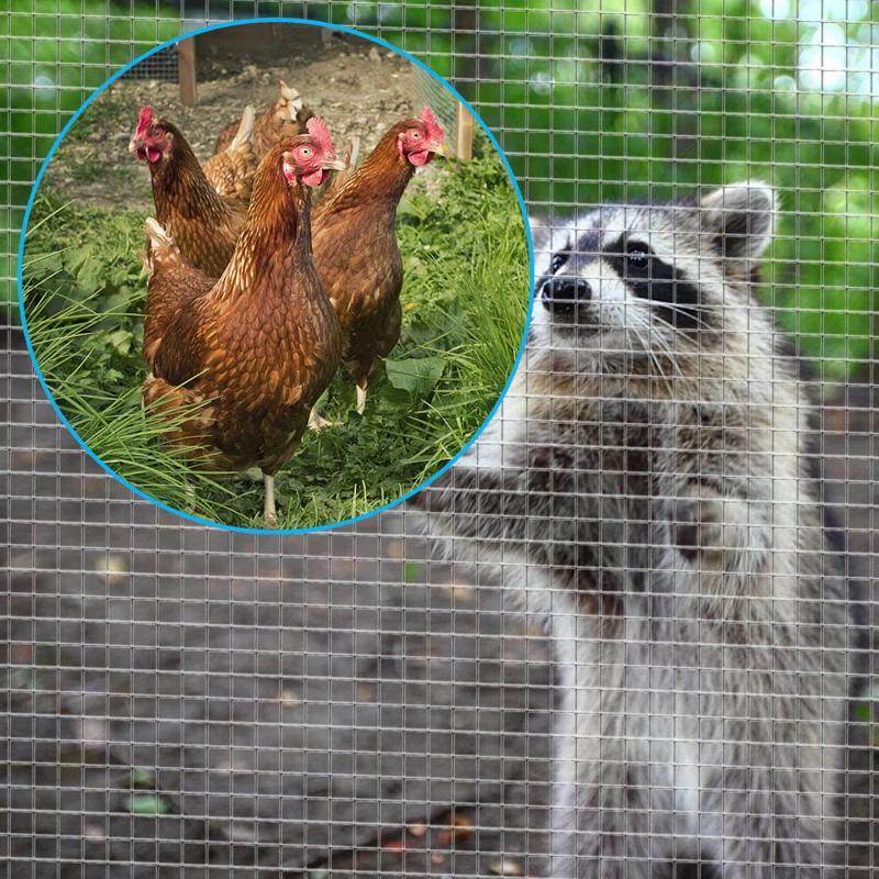 48x50 Hardware Cloth 1/4 inch Square Galvanized Chicken Wire Welded Fence Mesh Roll Raised Garden Bed Plant Supports