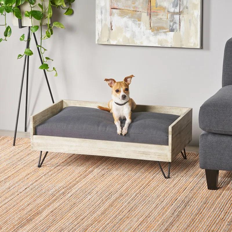 Tucker Murphy Pet™ Kaylor Mid Century Modern Dog Sofa