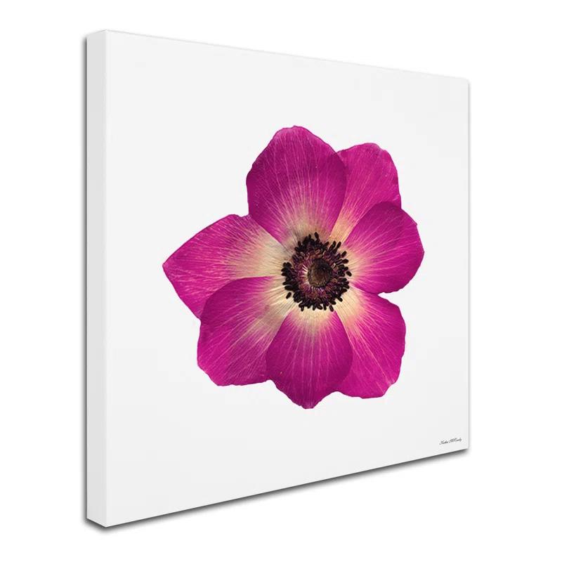 Trademark Fine Art 'Hot Pink Flower Photographic Print