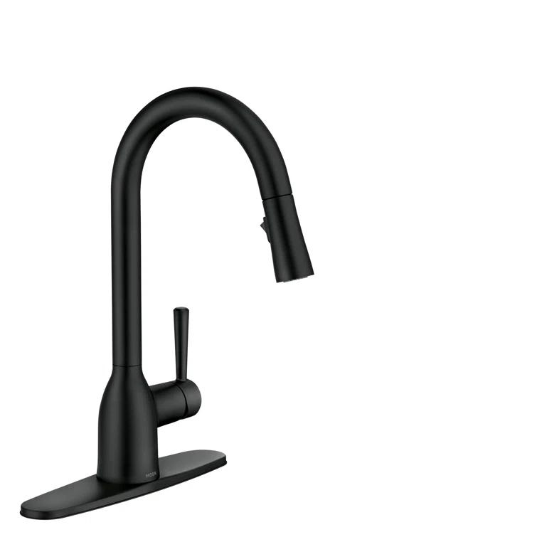 Moen Adler Pull Down Single Handle Kitchen Faucet with Accessories 87233BL