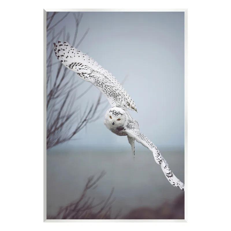Stupell Industries " Majestic Snowy Owl Flying Wingspan Wildlife " by Carrie Ann Grippo-Pike