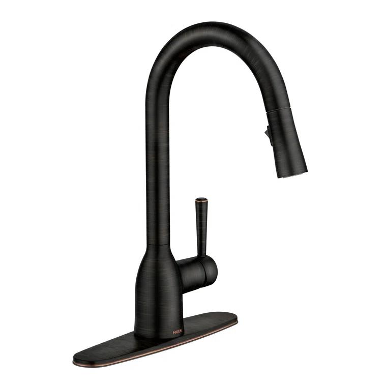 Moen Adler Pull Down Single Handle Kitchen Faucet with Accessories 87233BRB