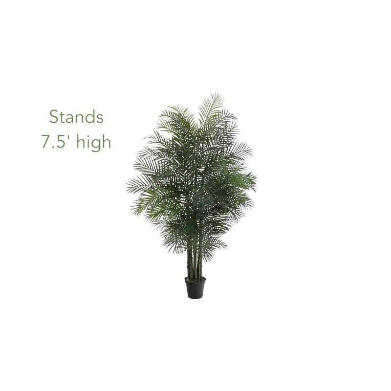 Birch Lane™ Palmier d'Areca Daphné 7,5 pieds résistant aux UV (intérieur/extérieur)
