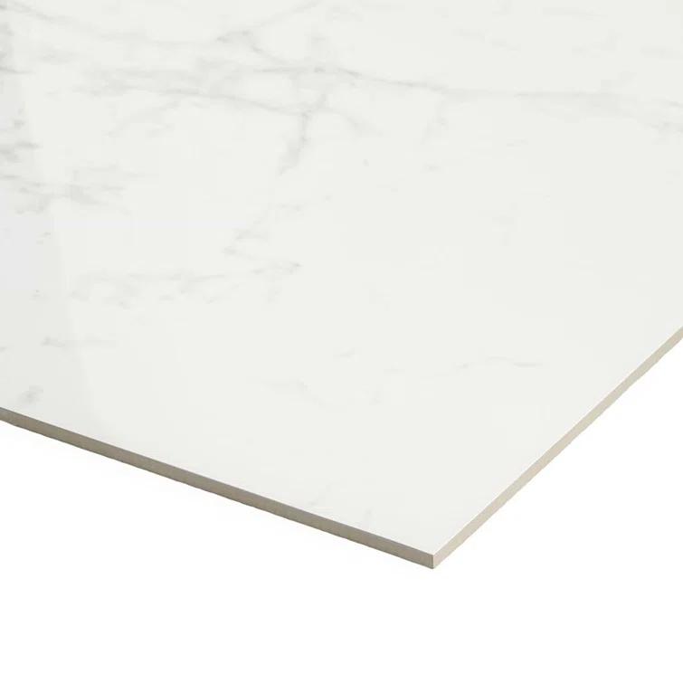 24" x 24" Polished Marble Look Porcelain Floor and Wall Tile (15.5 Sq. Ft. / Case)