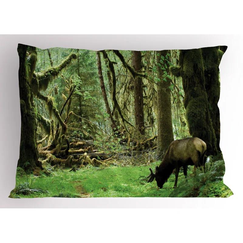 Ambesonne Ambesonne Forest Pillow Sham 2 Pack Roosevelt Elk in Park 26"x20" Green Brown