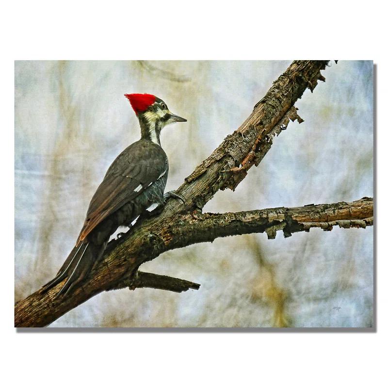 Trademark Fine Art 'Woodpecker II' by Lois Bryan Photographic Print on Canvas | Wayfair