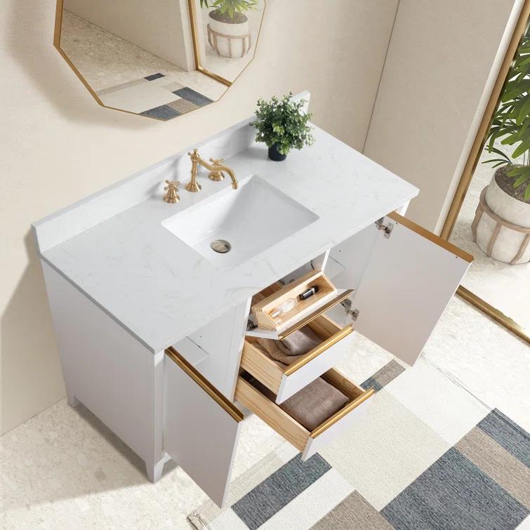 Vanity Art 54 Double Bathroom Vanity with Top