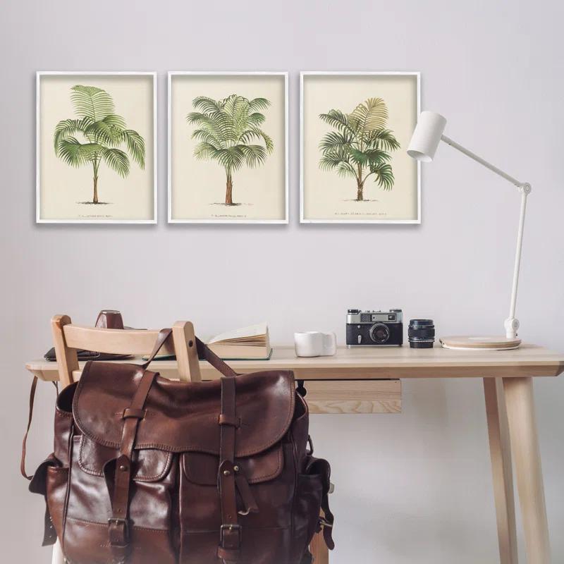 Stupell Industries Les Palmiers Botanical Trio 3 Piece Giclee Art Set by World Art Group