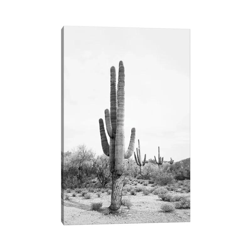 iCanvas Desert Cactus Blush by Sisi and Seb - Graphic Art Print