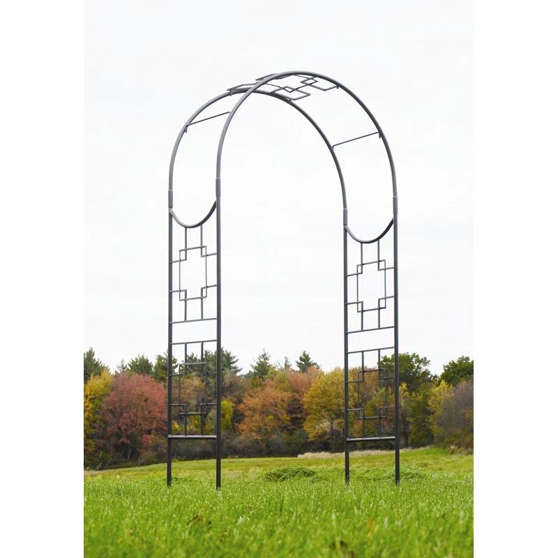 Paola Arbor