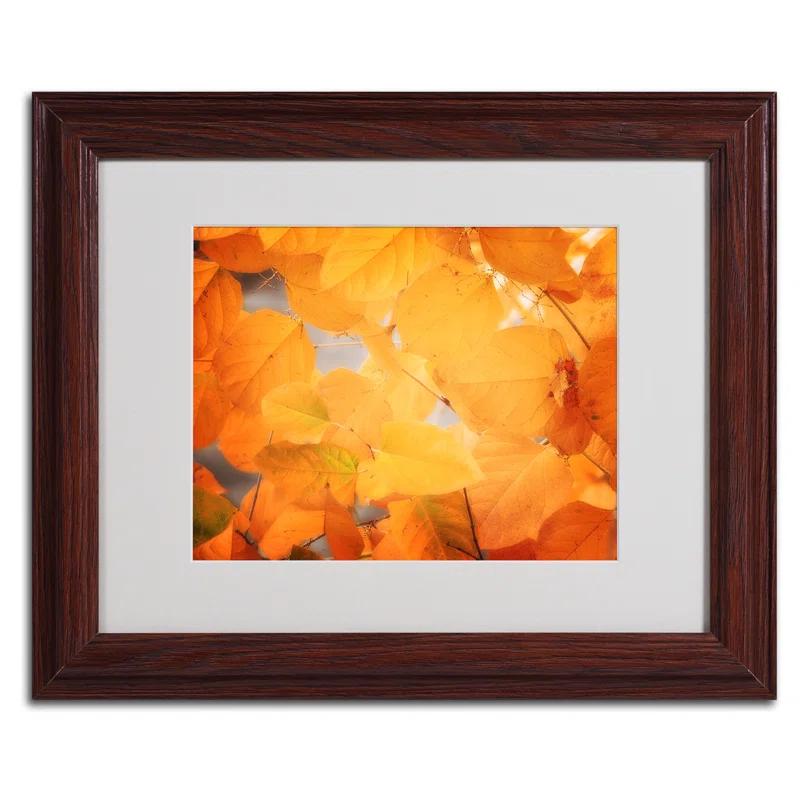 Trademark Fine Art " Seasonal Leaves " by Philippe Sainte-Laudy