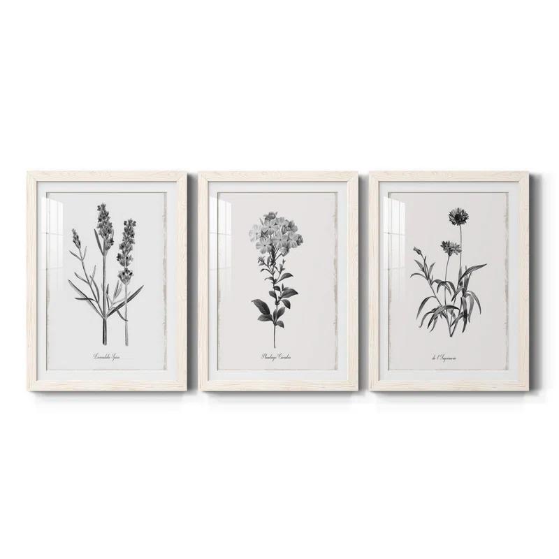 Red Barrel Studio® " Simply Imperial " 3 - Pieces Painting Print