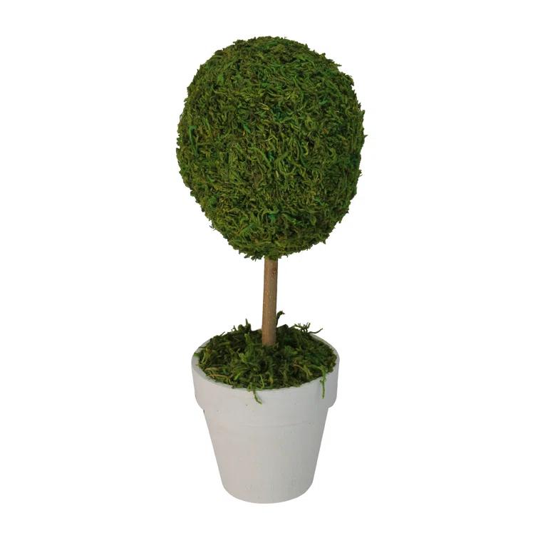 Northlight Seasonal Green Reindeer Moss Ball Potted Artificial Spring Topiary Tree